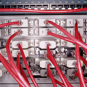 Picture of Network Patch Panel